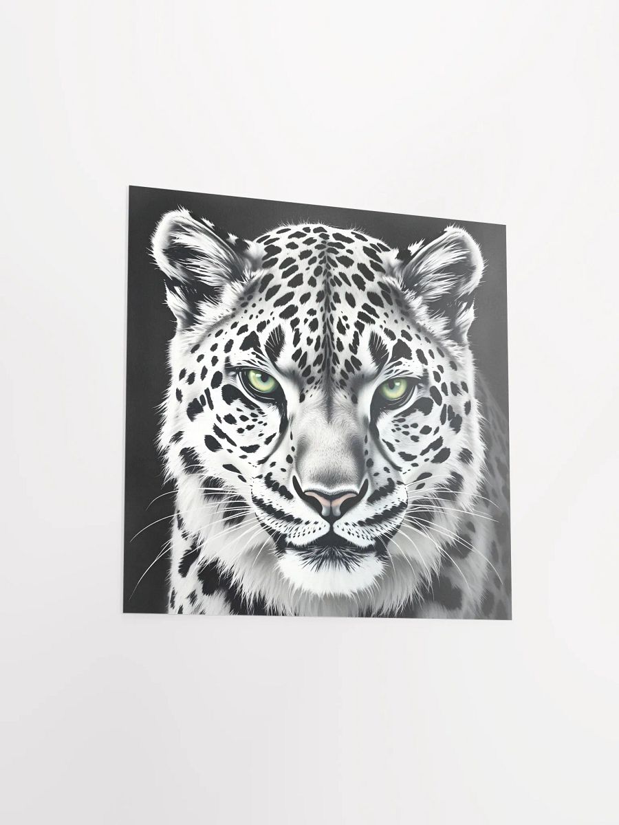 Snowleopard product image (13)