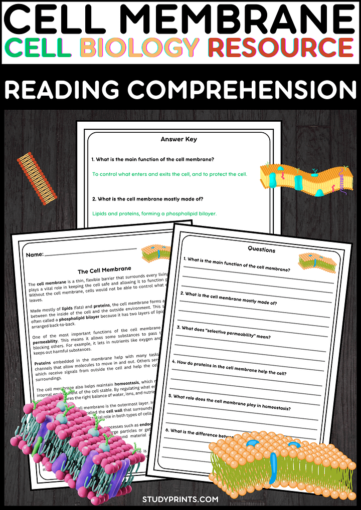 Cell Membrane Reading Passage with Comprehension Questions product image (1)