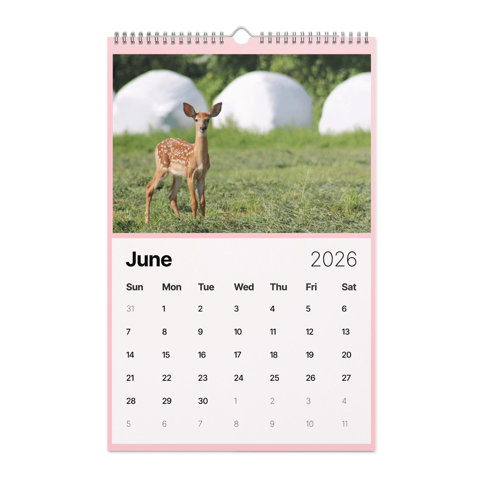 Muddy Toes Farm 2026 Country Life Calendar product image (8)