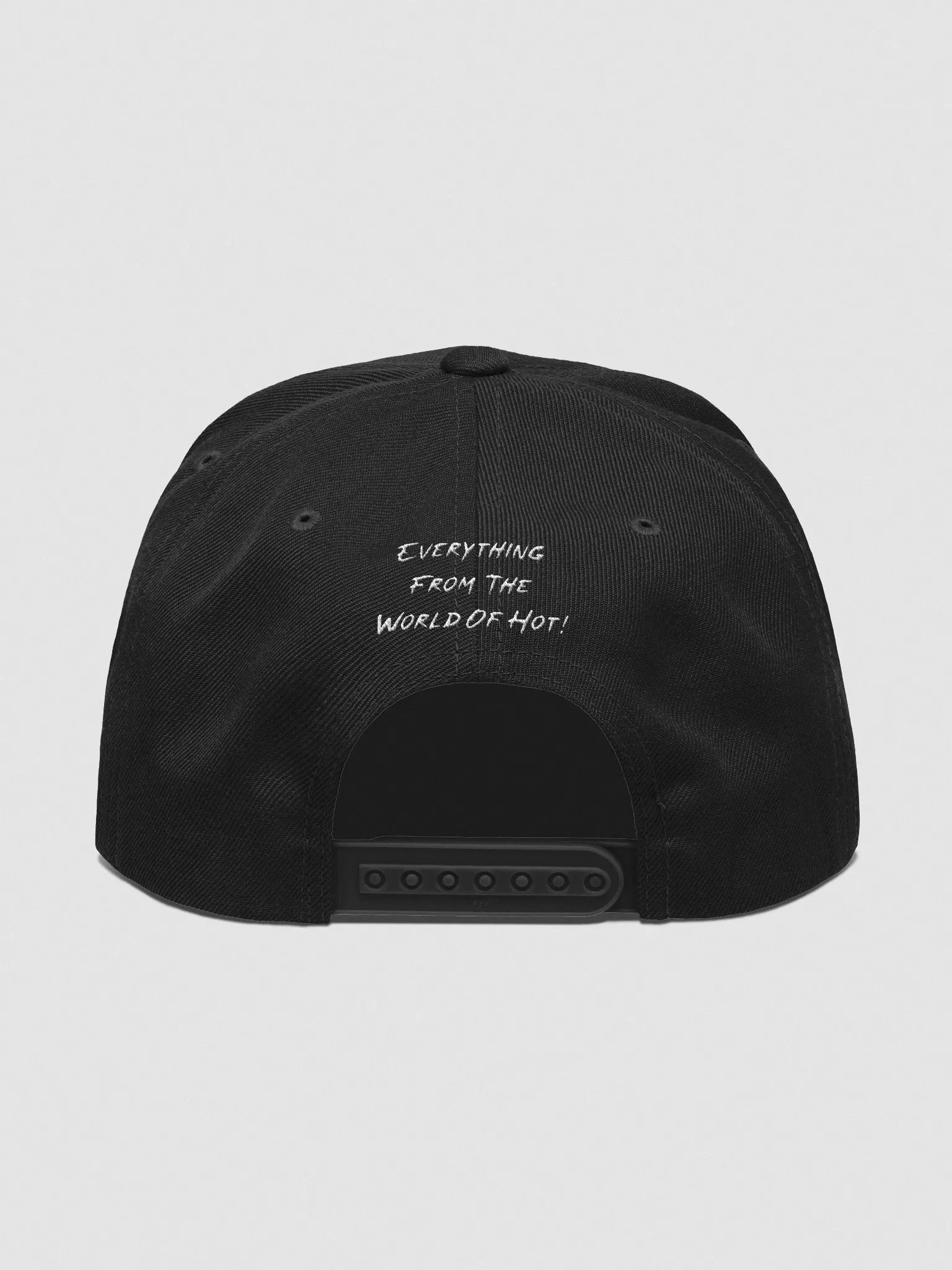TSW- Snapback (Dark) product image (4)