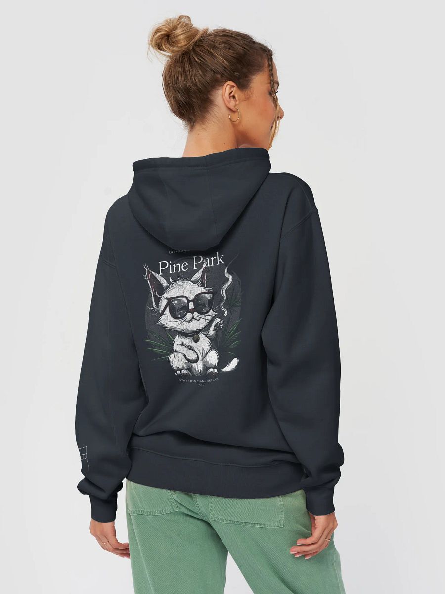 Pine Park Cat Mascot Hoodie product image (8)