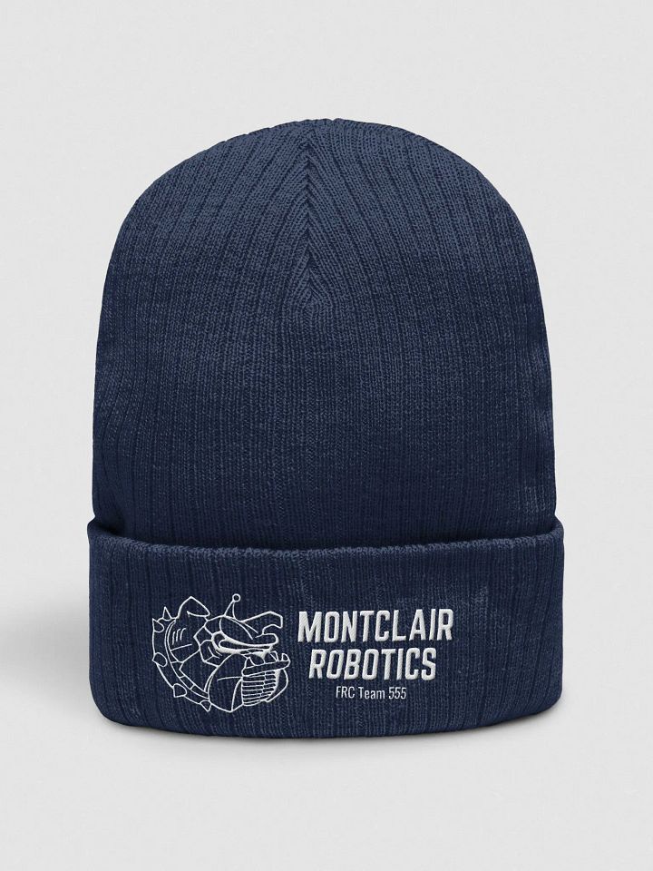 Winter Beanie product image (1)