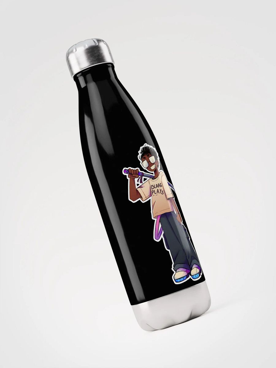 Stainless Steel Bottle product image (3)