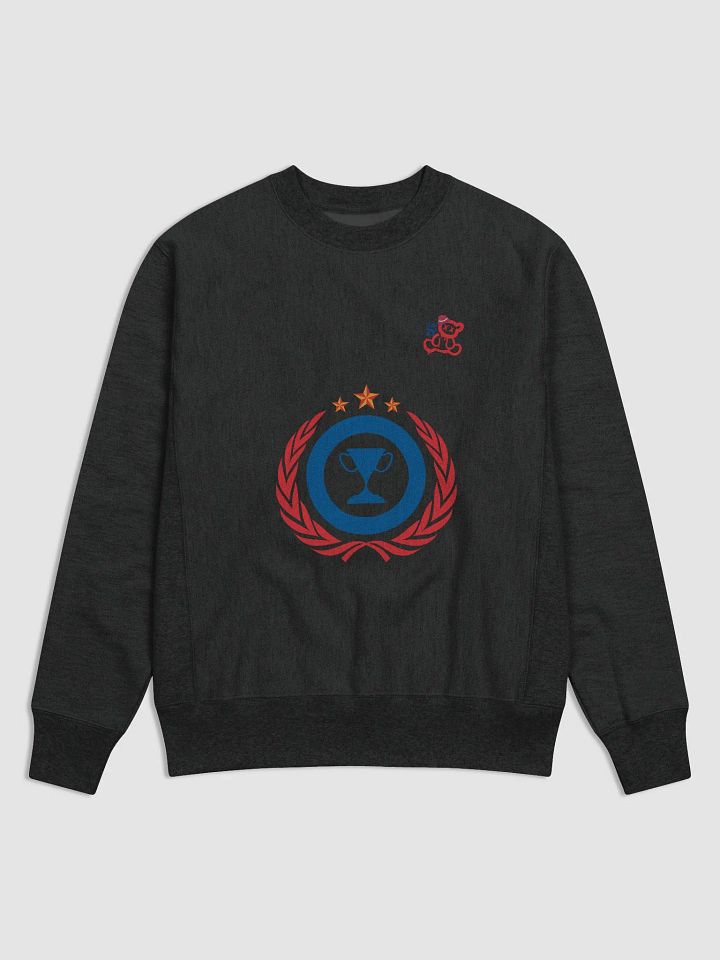 Champion X TeamZY product image (1)