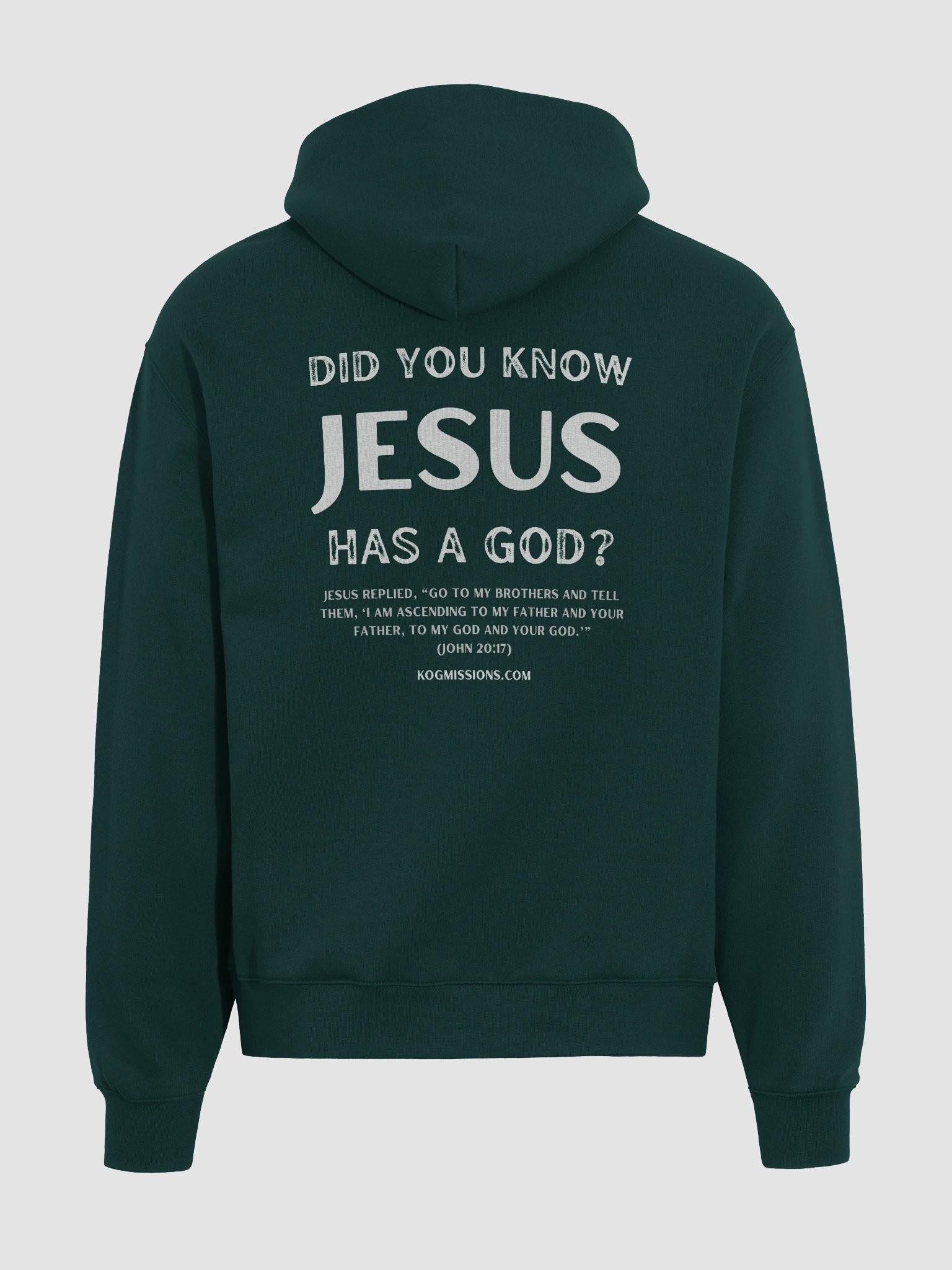 Jesus Has a God Premium Oversized Hoodie product image (13)