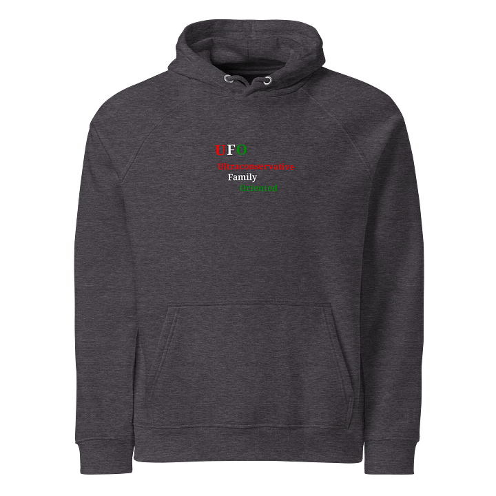 UFO Ultraconservative Family Oriented Hoodie product image (1)