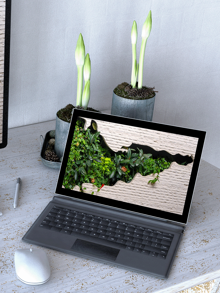 Plant Wall Computer, Phone & Tablet Wallpaper Pack product image (2)