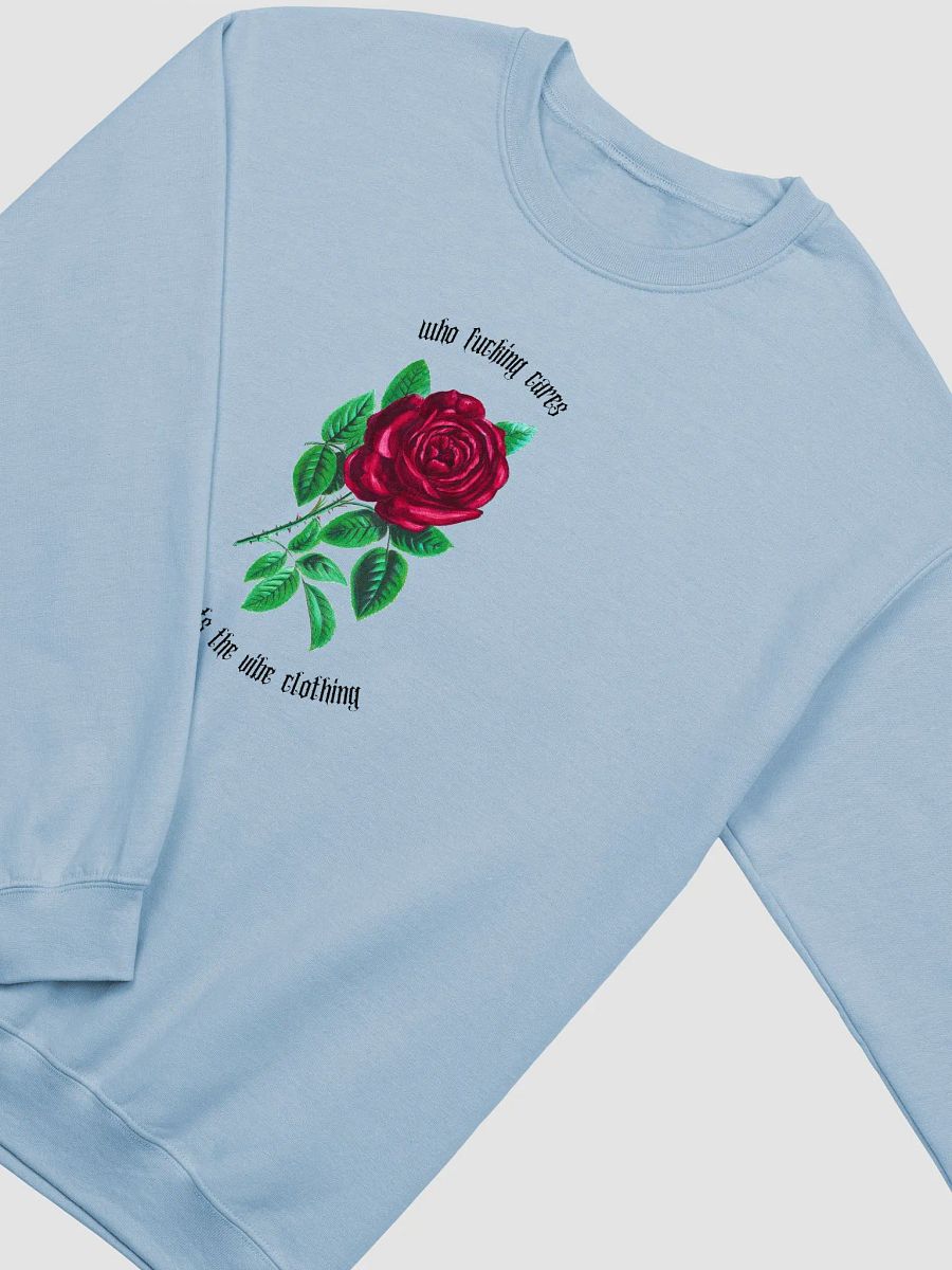 Who fucking cares x What's the Vibe product image (10)
