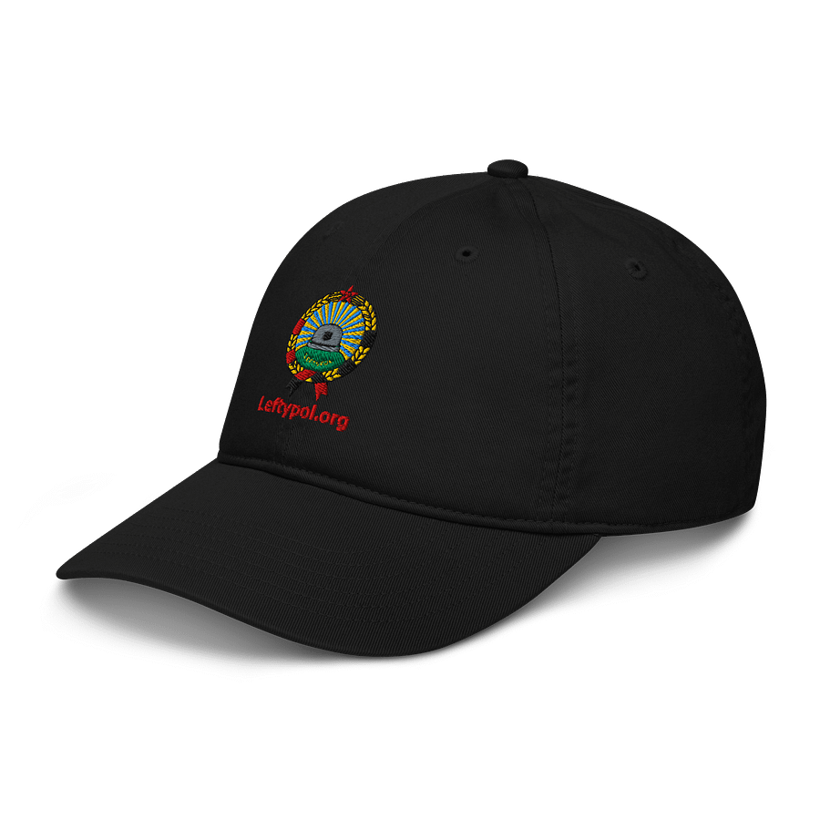 /leftypol/ - Dad Hat product image (4)