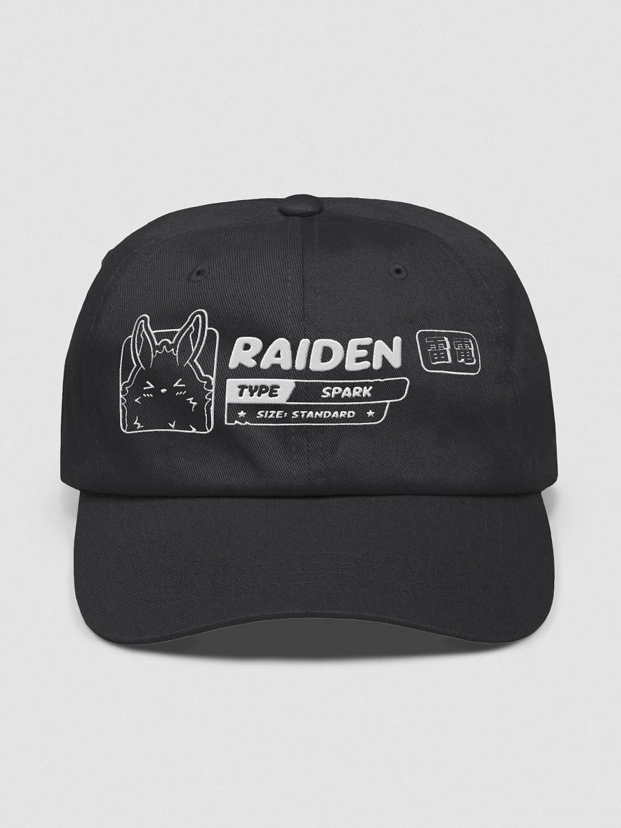 Raiden Streetwear Hat product image (1)