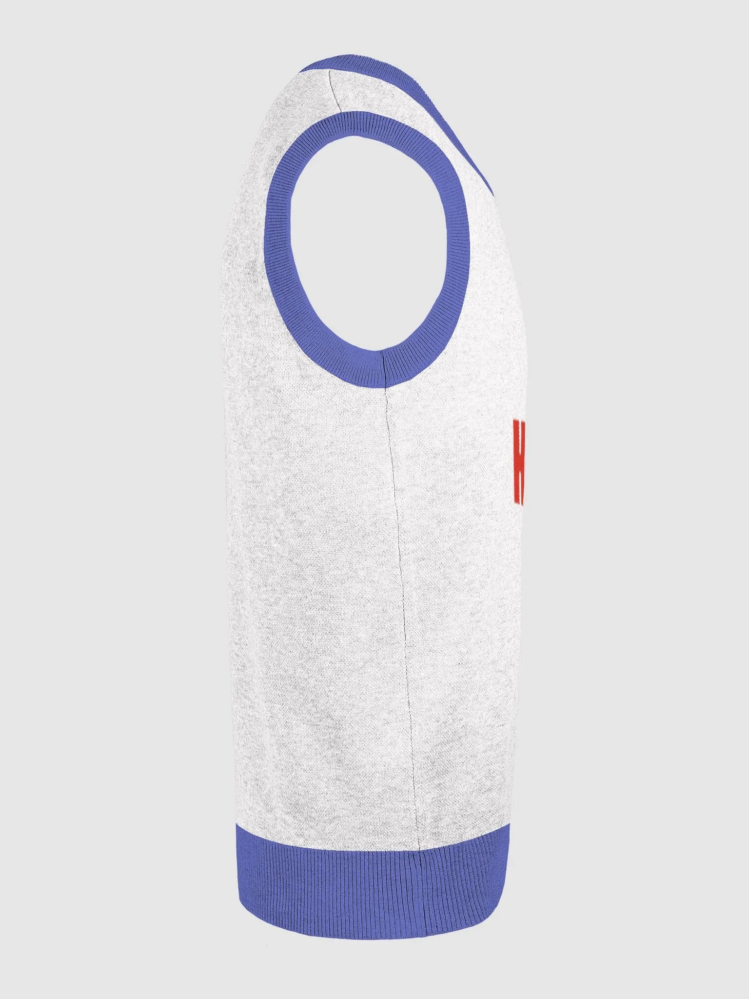 Homesick: Logo Sweater Vest product image (24)