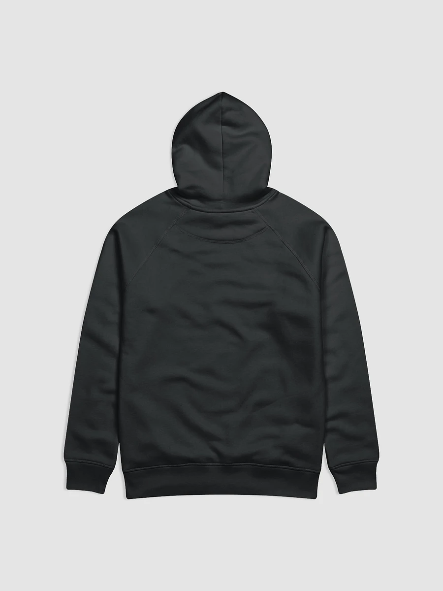 Fiddle Xray Hoodie product image (2)