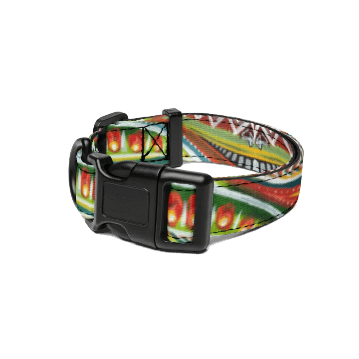 ARENA - COLLAR product image (1)