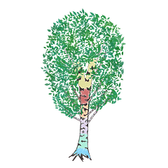 Painted Birch