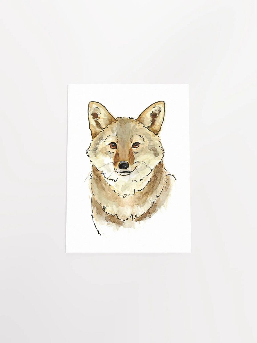 Watercolor Coyote Portrait - Art Print product image (25)