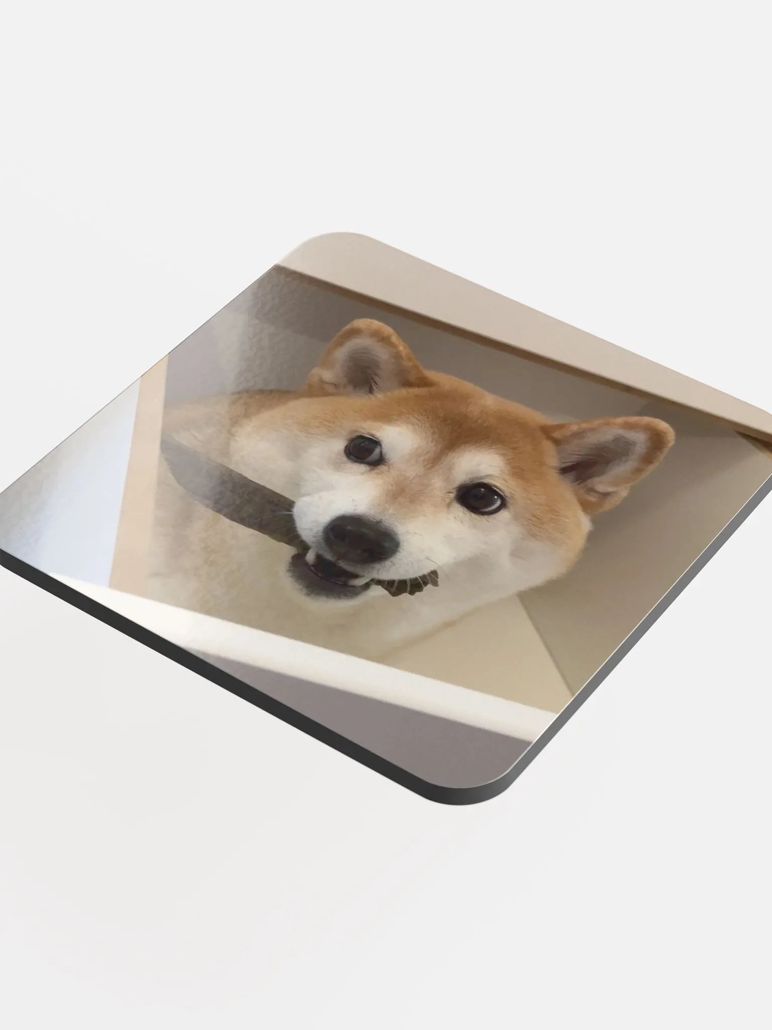 Knife Wielding Shibe Coaster product image (4)