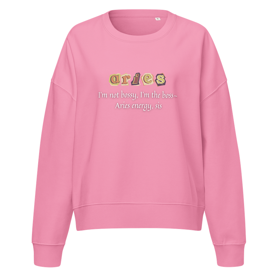 Aries Bossy Sweatshirt product image (5)