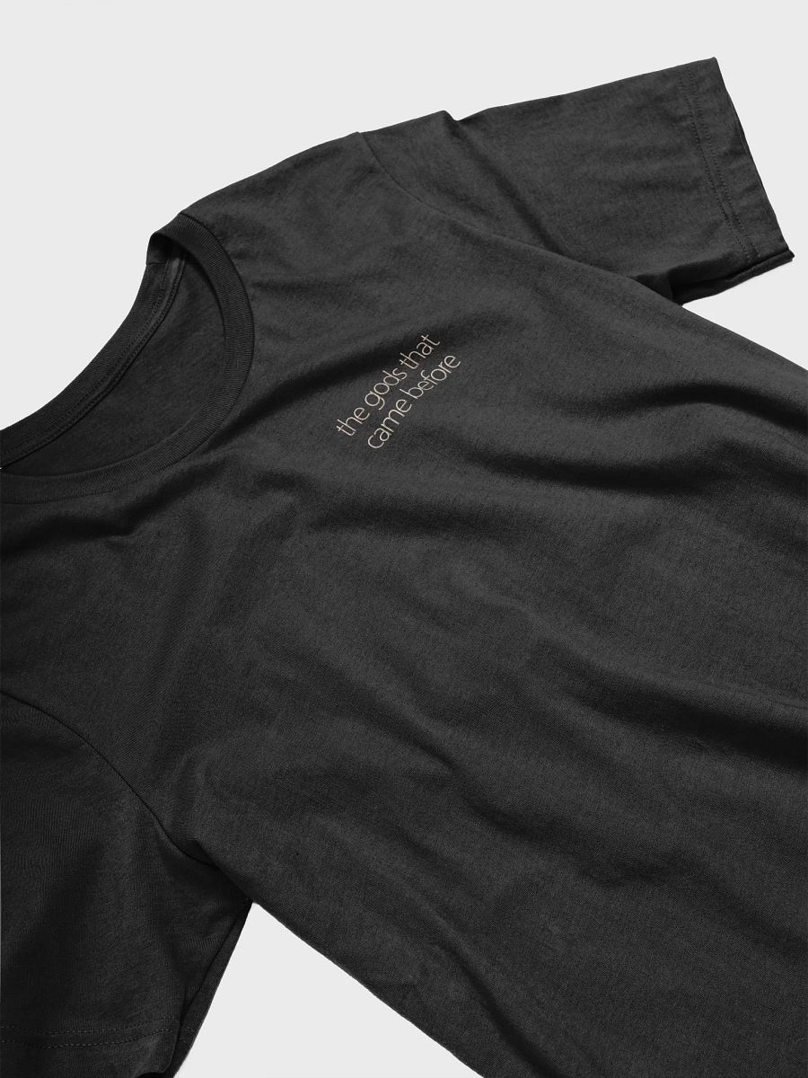 tgtcb logo tee product image (3)