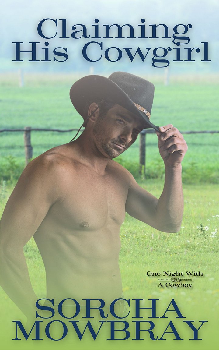 Claiming His Cowgirl (One Night With A Cowboy, Book 2) product image (2)