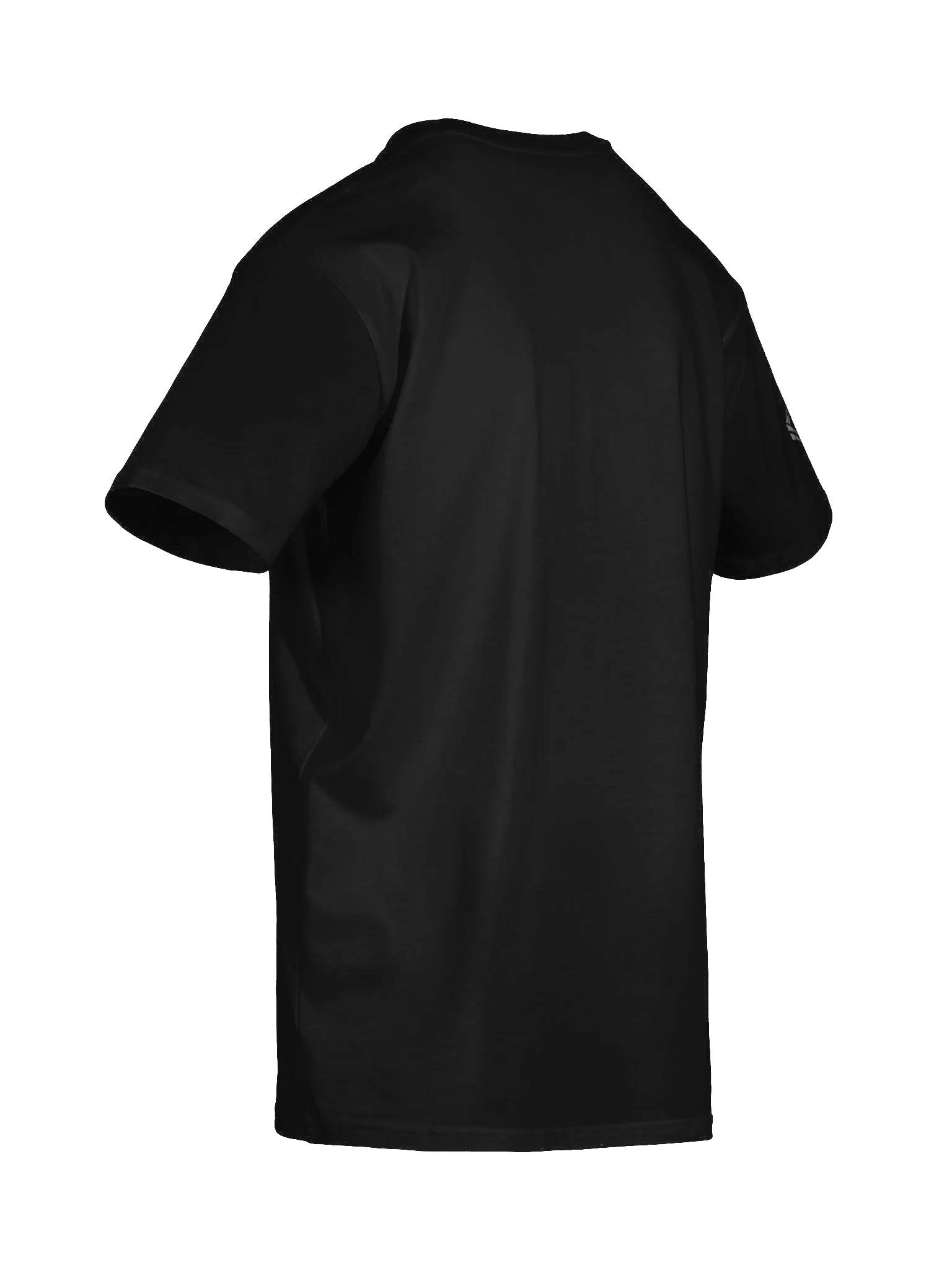 Wildcat Band Dad T-Shirt product image (8)