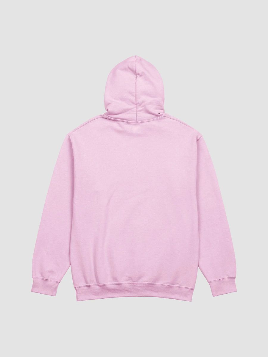 *Snap Snap* Day 10 Hoodie product image (15)