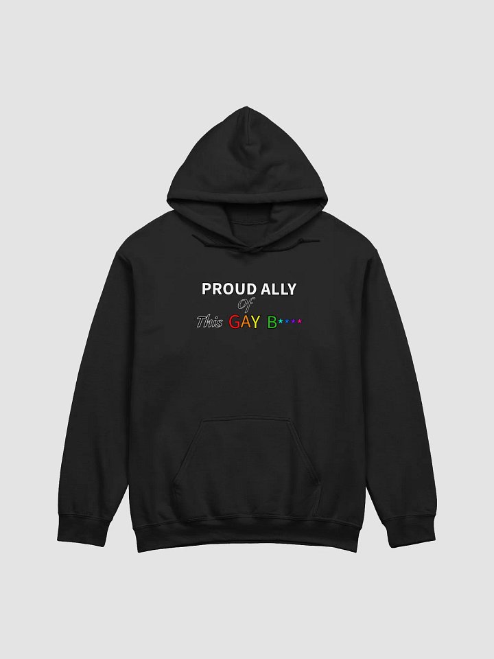 Pretty Proud Ally Hoodie (Gay) product image (5)