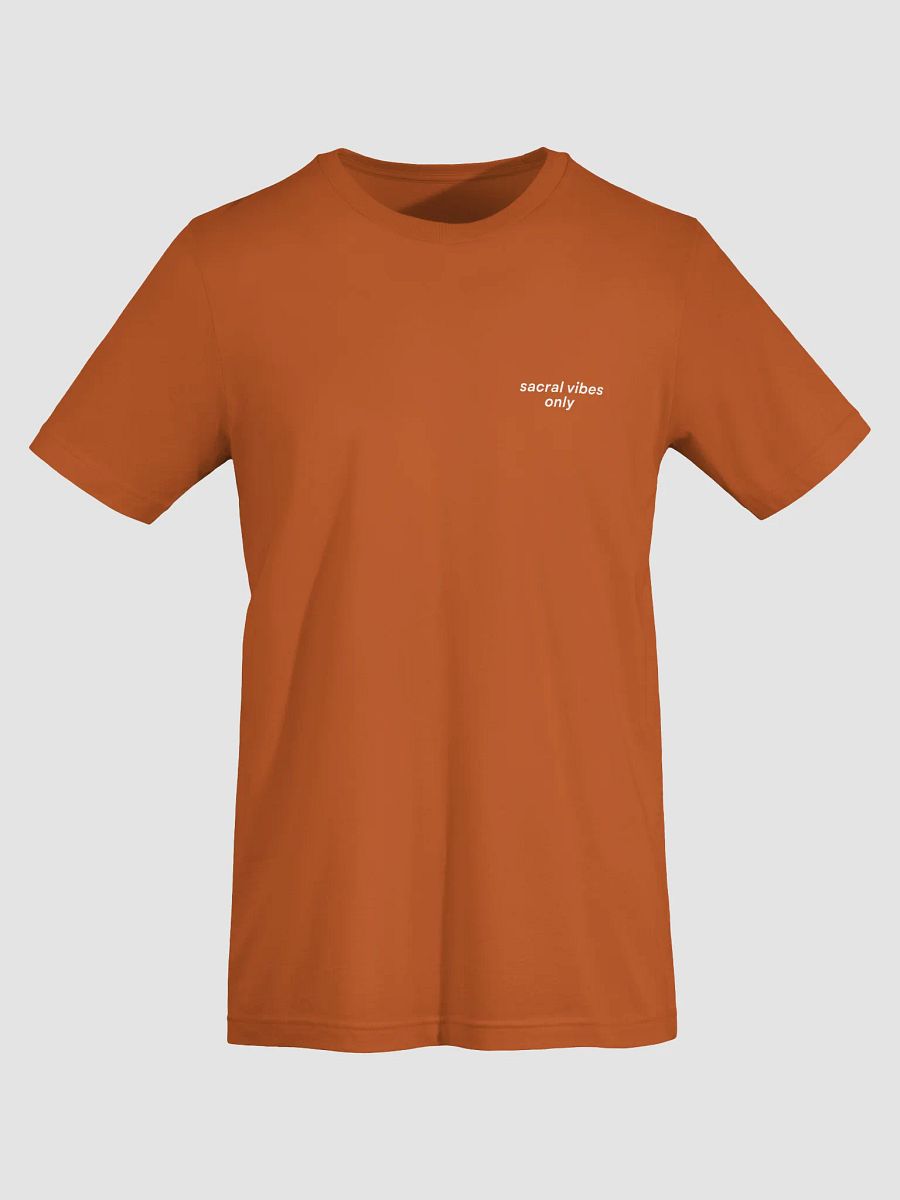 Sacral Vibes Only Tee product image (7)