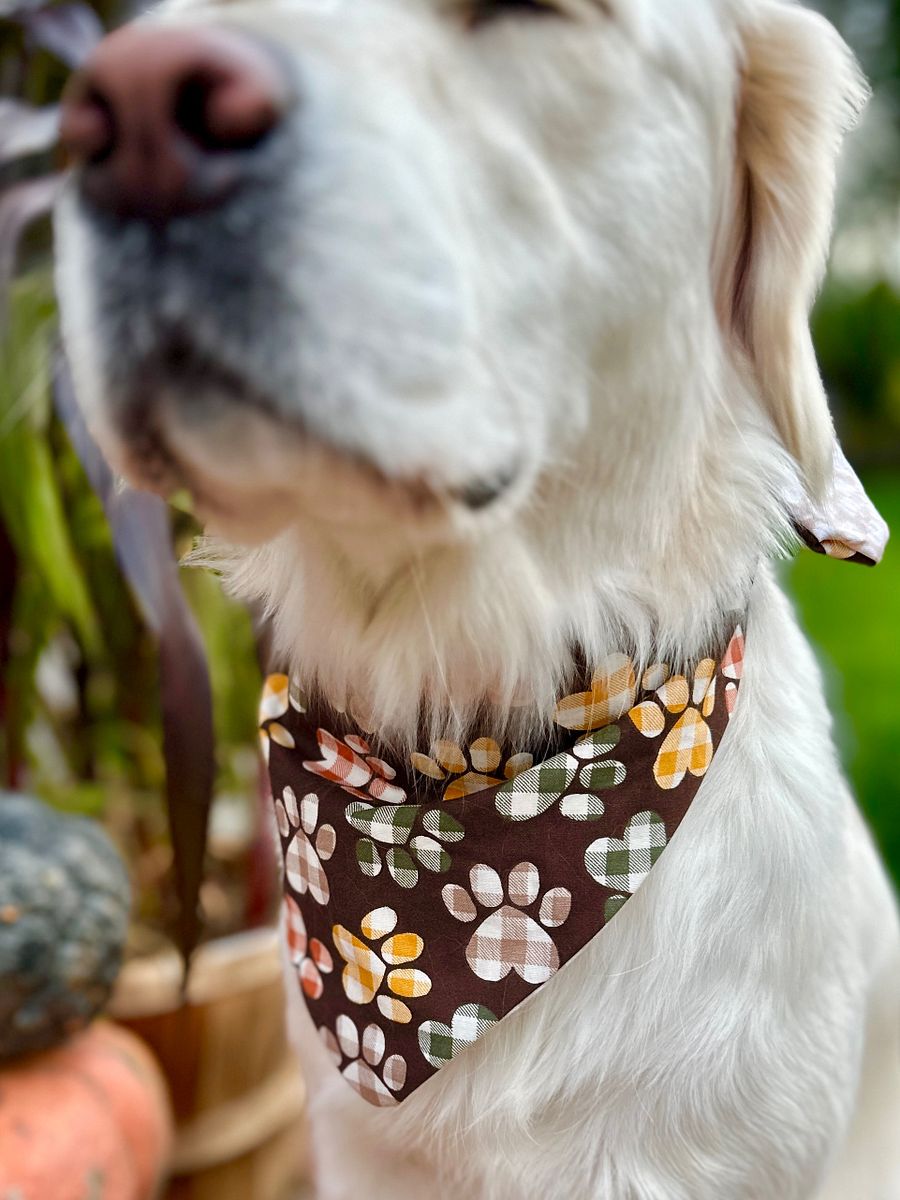 Reversible Paw Prints & Pumpkins Bandana product image (3)