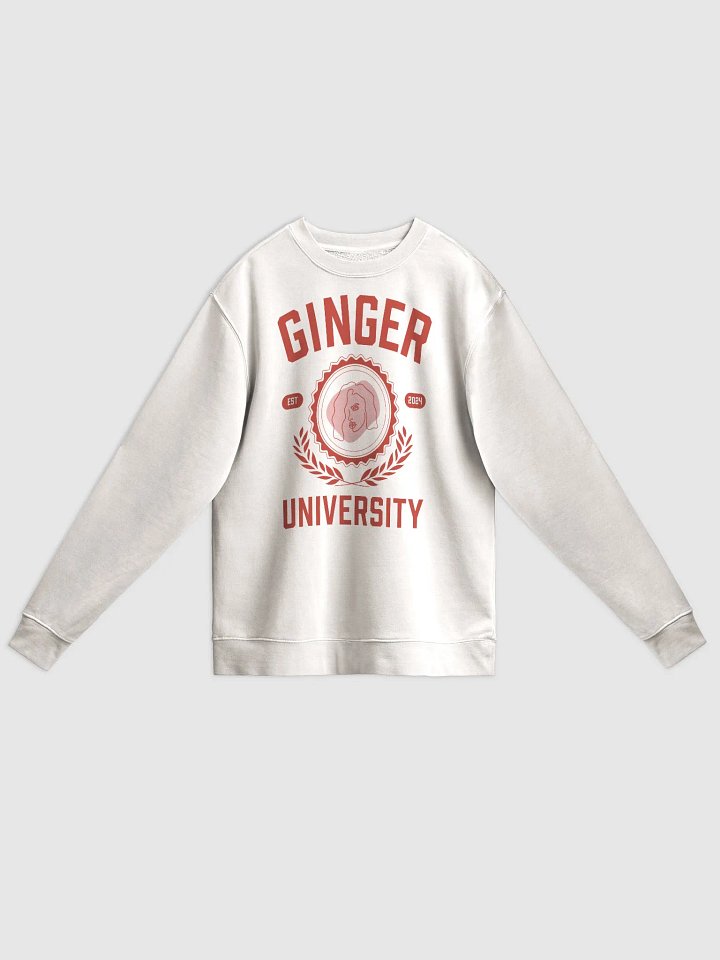 Ginger University Unisex Midweight Pigment-Dyed Sweatshirt product image (2)