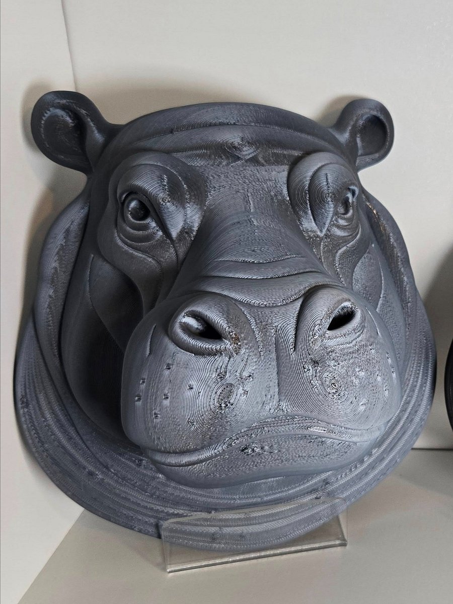 Wall Mounted Hippo Head - 3D Printed product image (1)