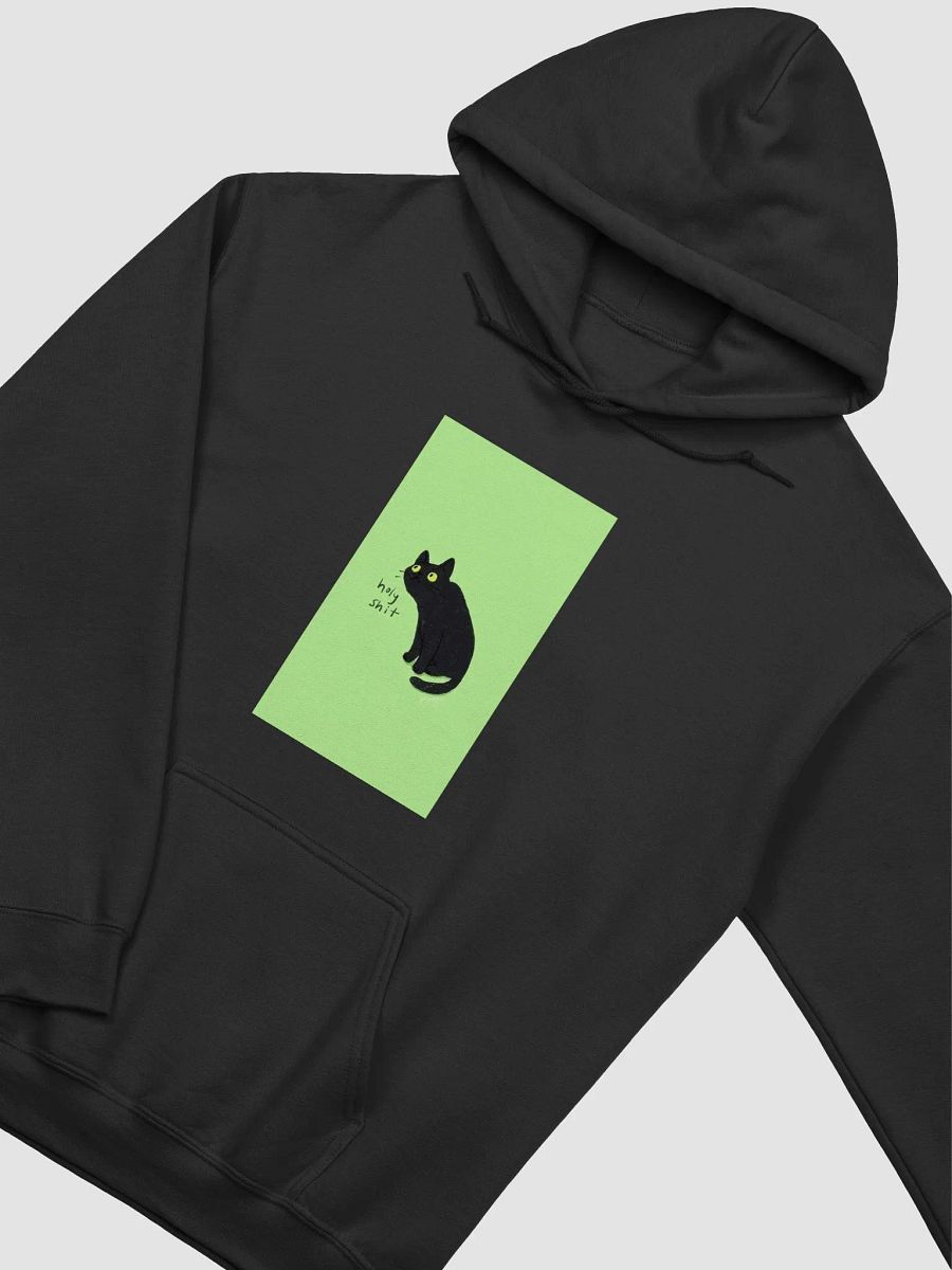 Holy Sh*t Cat Cartoon Hoodie product image (21)