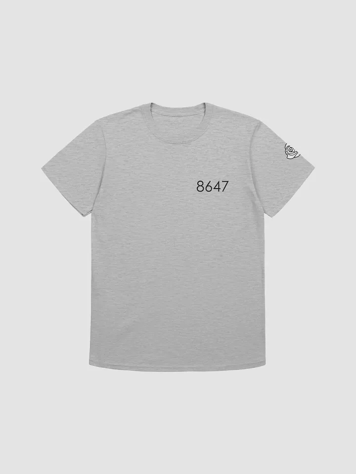 8647 Gildan Unisex Softstyle Tee - B product image (1)
