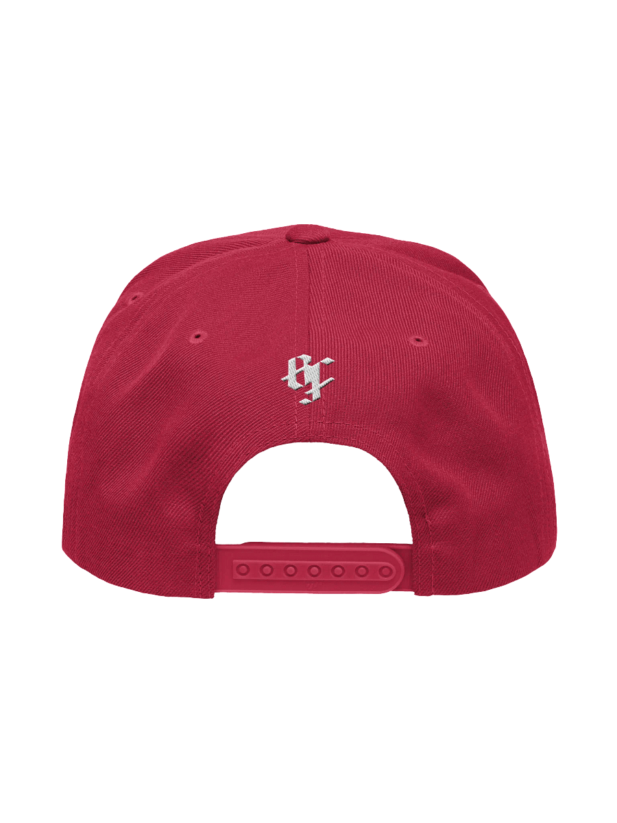 Capsmas 2024 Day 15: Reverse Houston Hit (Coog's House) Snapback product image (4)