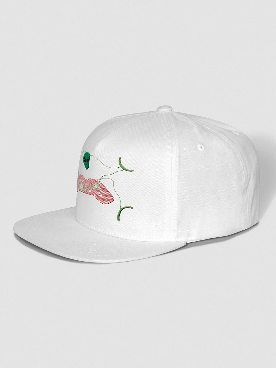 Galactic Control Snapback Cap product image (2)