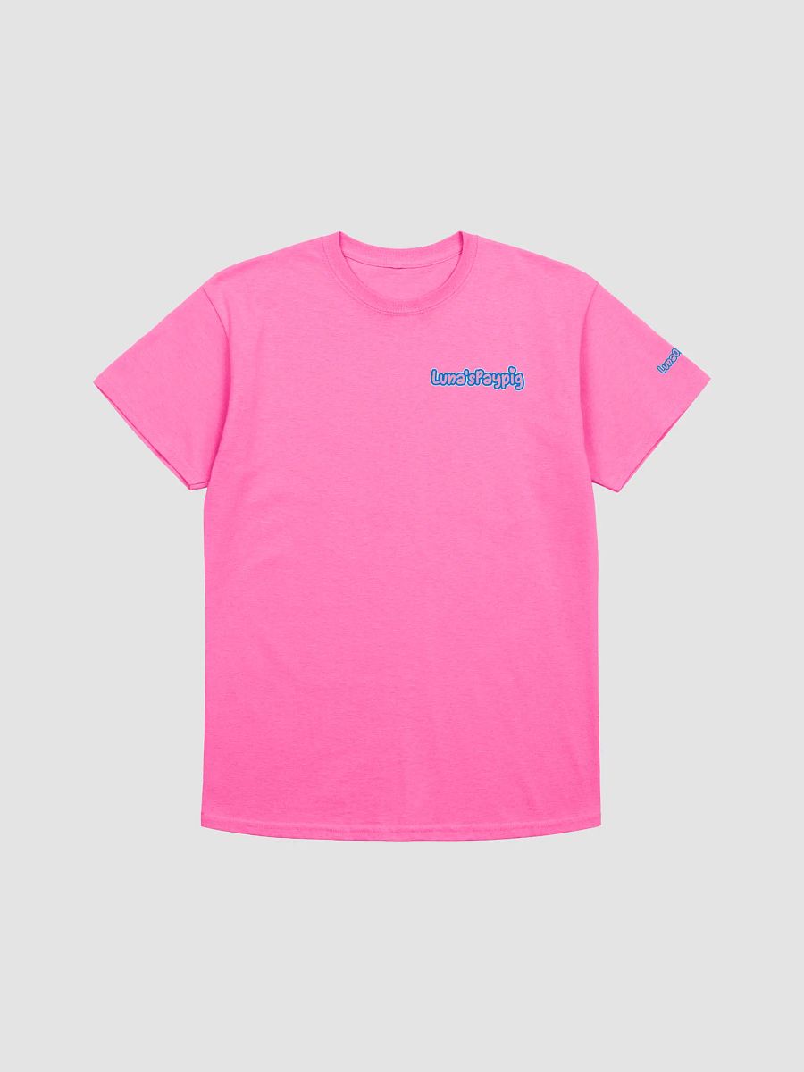 Luna's Paypig Tshirt product image (1)