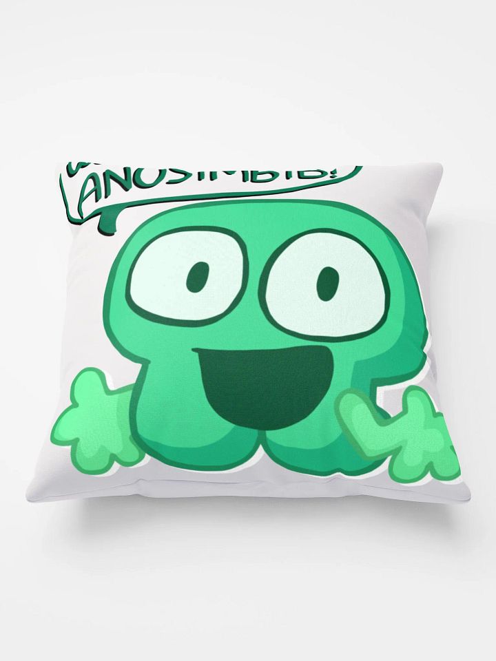Pi's Famous Line Pillow product image (2)