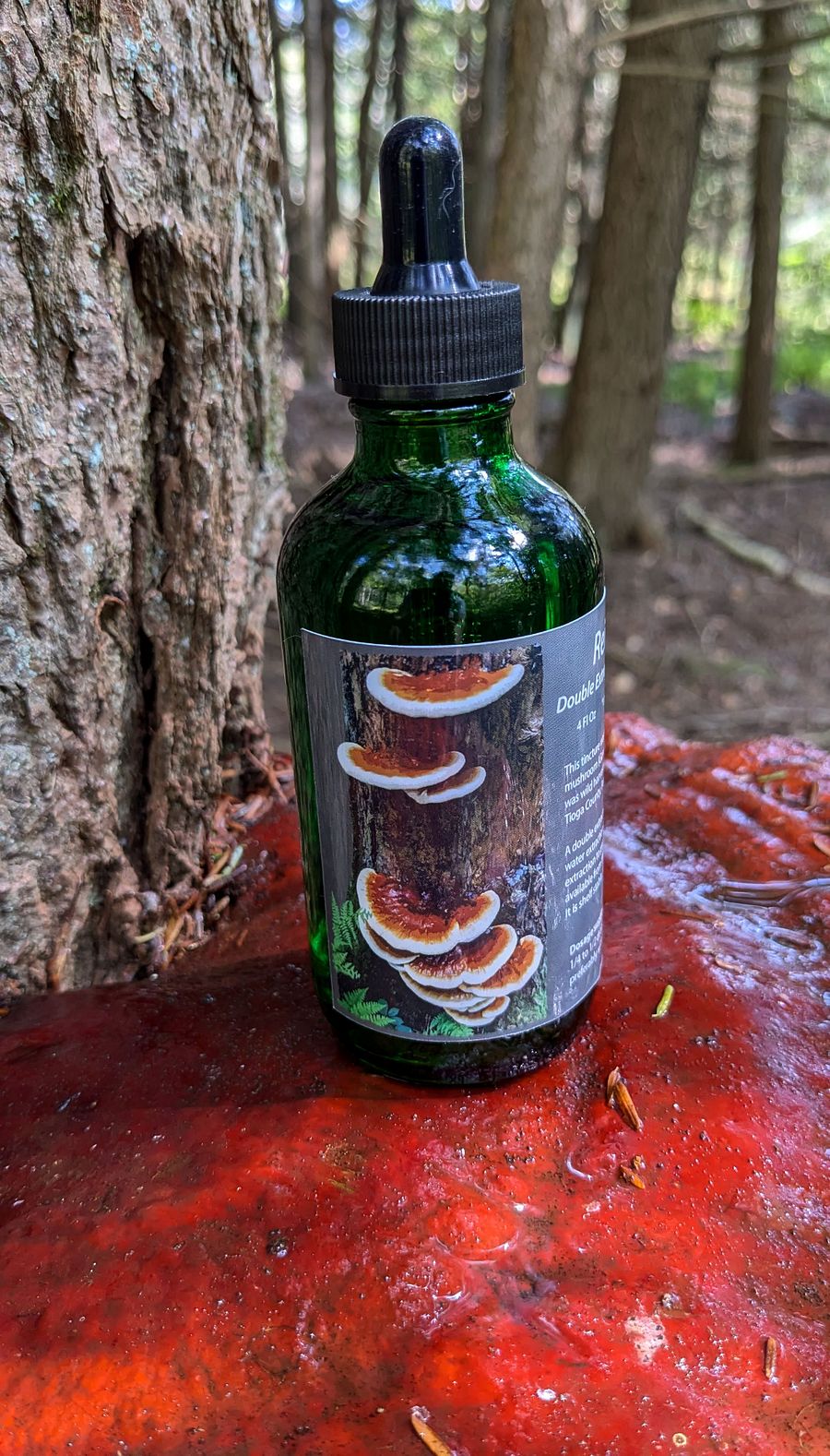 Wild Harvested Reishi Double Extraction Tincture 4 oz product image (1)