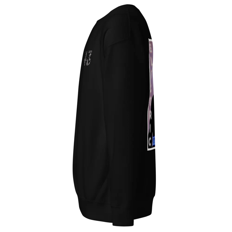 '43 Embroidered Crewneck Sweatshirt product image (3)