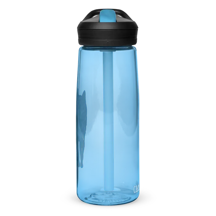 Wolf Drawing Water Bottle Straw product image (59)