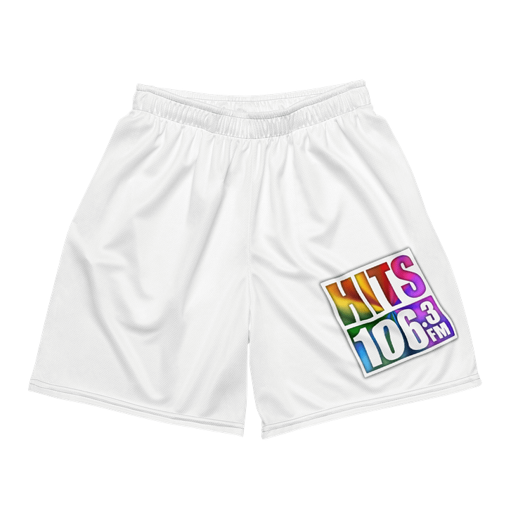Hits Pride Unisex Mesh Shorts product image (2)