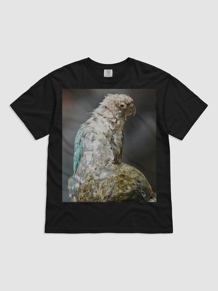 Ruffled Feathers Parrot Tee product image (1)