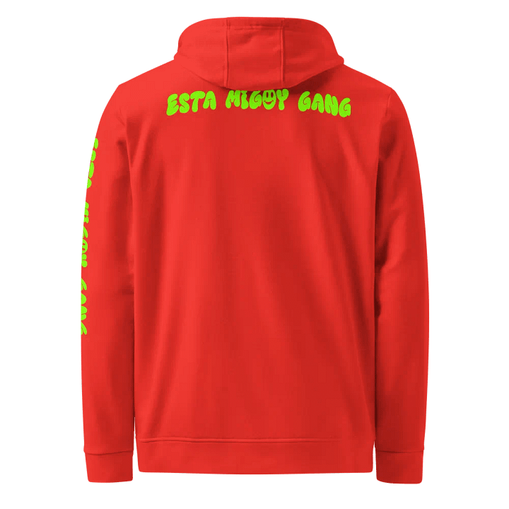Lilbizzytv Adidas collection product image (2)