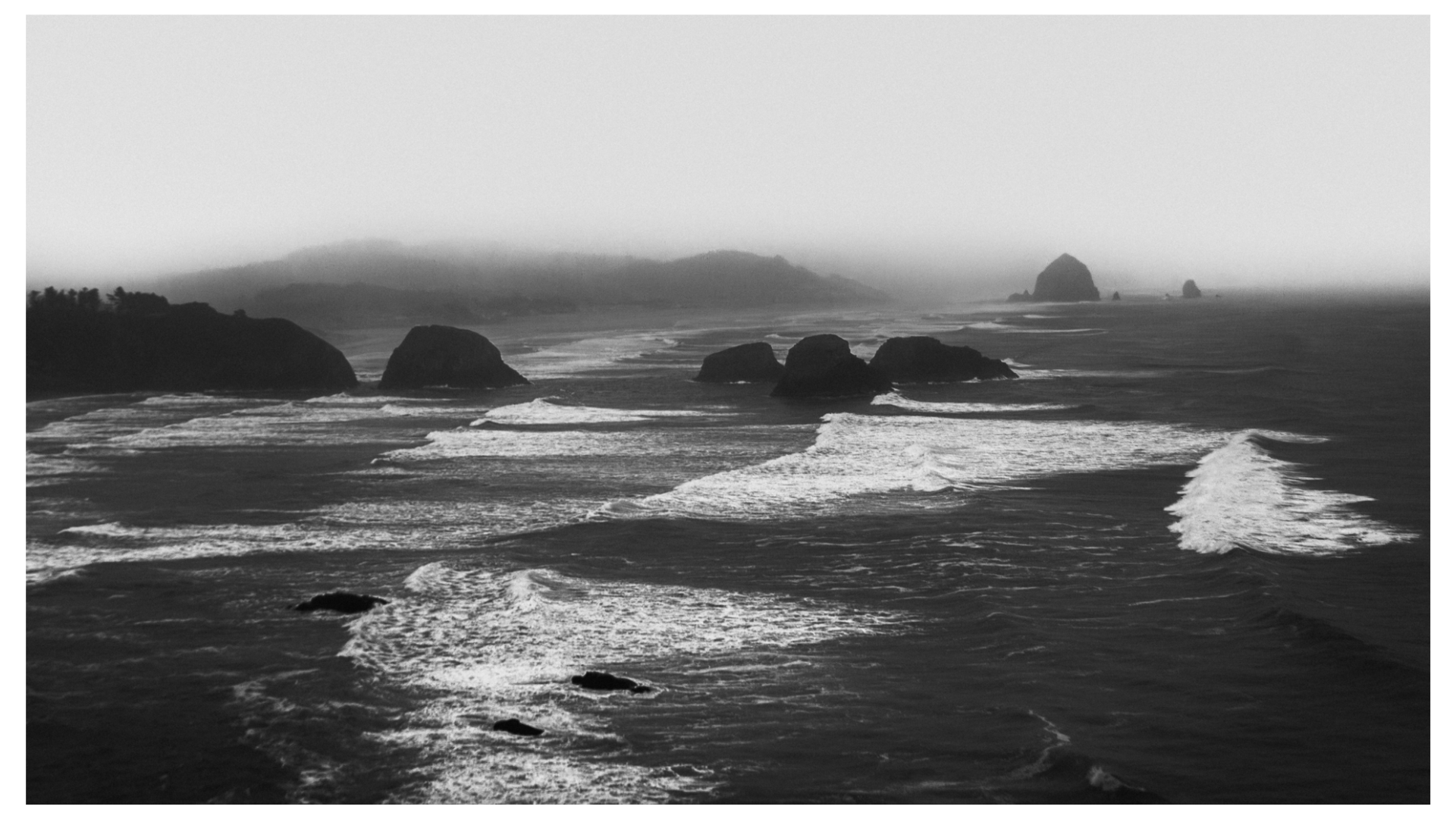 ECOLA #01 product image (1)