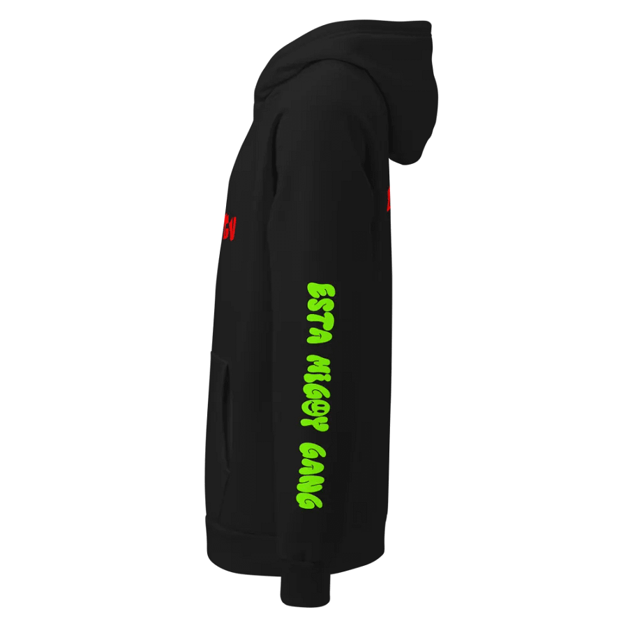 Lilbizzytv limited edition underarmor Hoodie! product image (10)