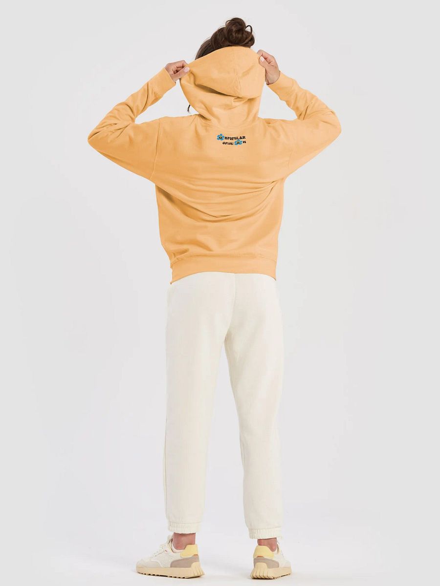 CHILDISH GAMBINO Bonfire Hoodie product image (31)