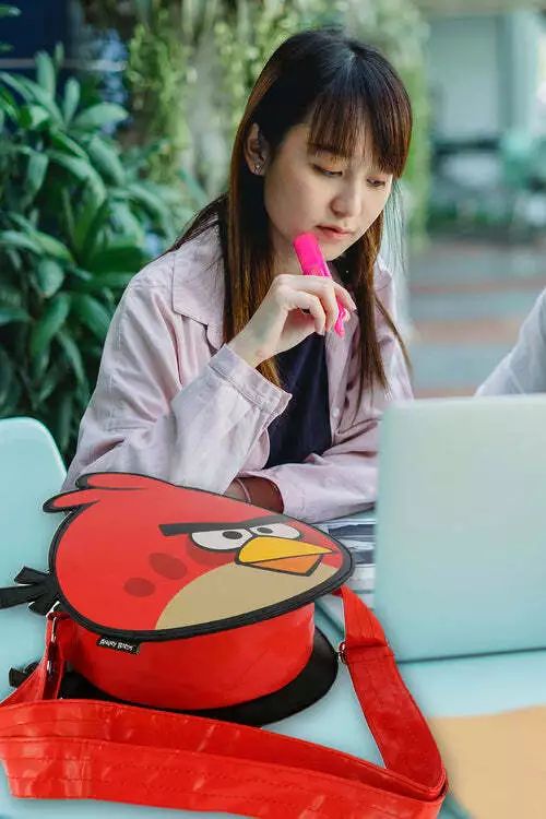 Angry Birds Bookbags Shoulder Backpack/Bag / Messenger Bag for Travel Girls Boys product image (4)