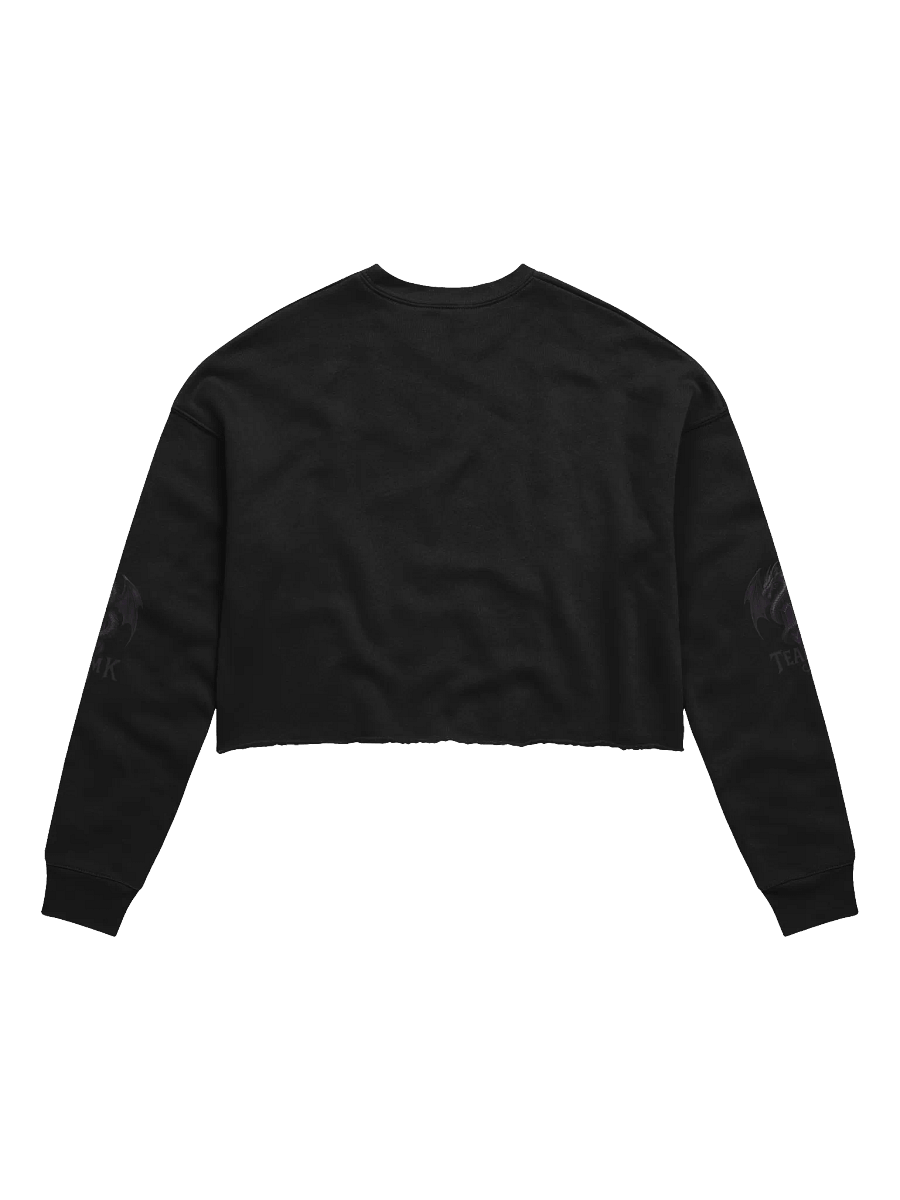 Team K V-4 Crop Sweatshirt product image (2)