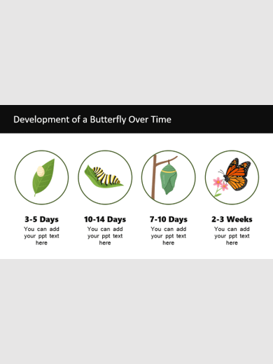 Create a Realistic Transformation Over Time Animation in PowerPoint product image (1)