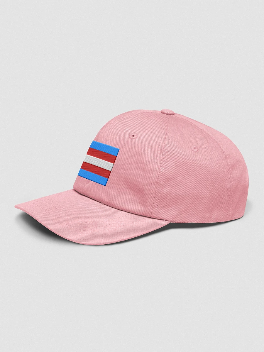 Trans Pride Flag - Embroidered Hat product image (3)