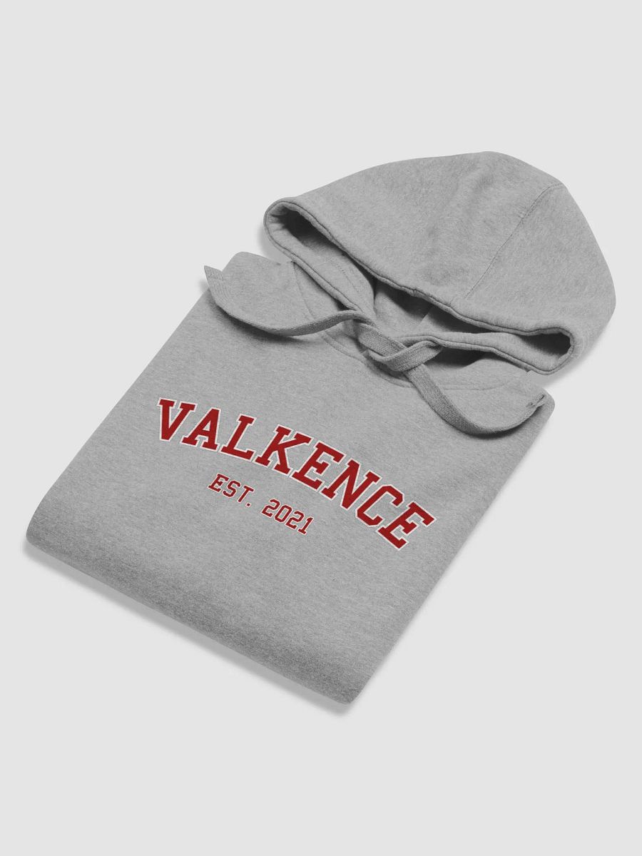 Varsity Hoodie product image (45)